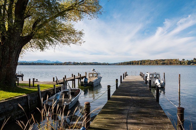 而导致人数 而导致人数