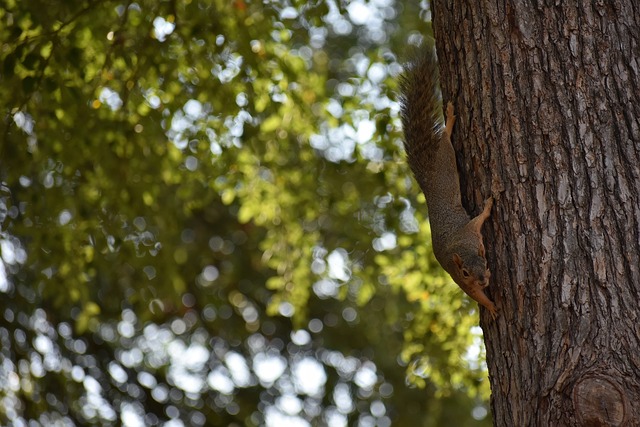 出色的投射 出色的投射