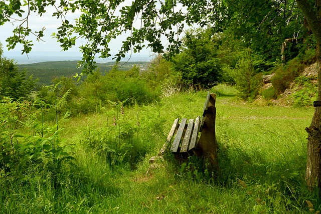 上大展拳脚 上大展拳脚