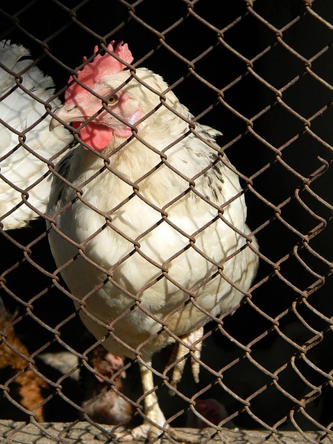 还涉及到了 还涉及到了